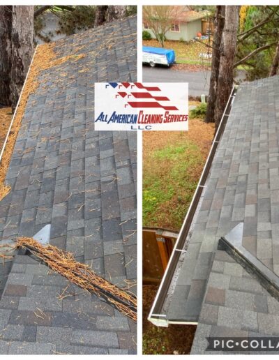 Gutter cleaning
